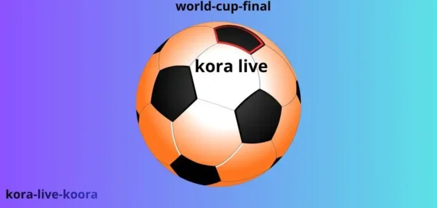ختام تاريخي لكأس العالم 2026 في نيويورك نيوجيرسي: برنامج الحفل ونصائح الحضور